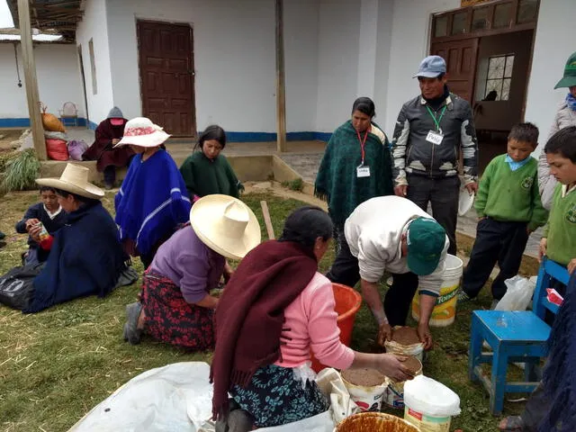 Cajamarca: Capacitan a ganaderos para incrementar producción de leche 