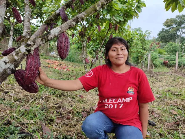 Las mujeres de la comunidad Awajún son parte importante en la cadena productiva del cacao. Foto: La República
