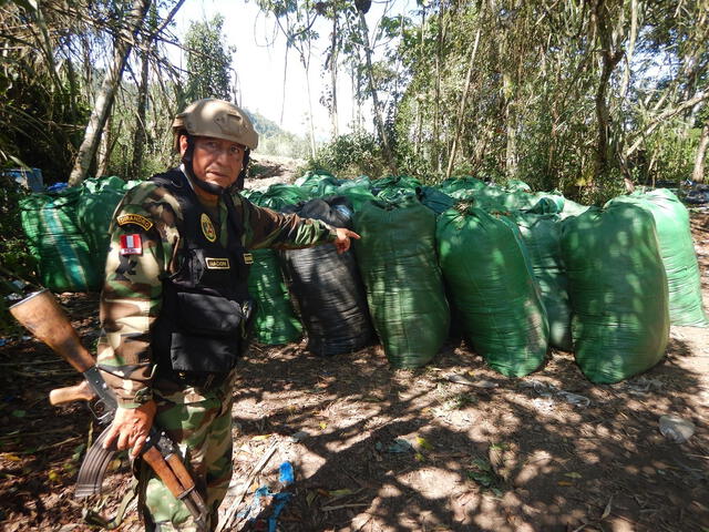 80 sacos con 480 arrobas de coca hallados en el segundo operativo
