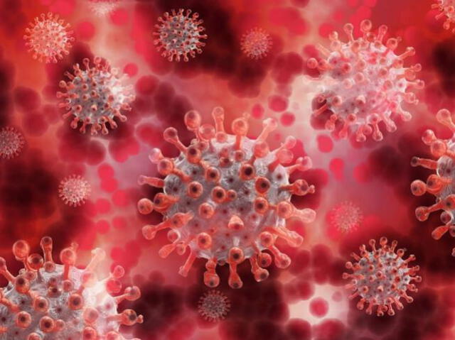 Nueva variante de coronavirus xbb.1.5: síntomas, riesgos y ¿por qué preocupa a la OMS?