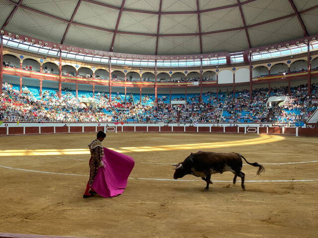 ¿Qué significa el indulto en una corrida de toros y quién puede pedirlo?