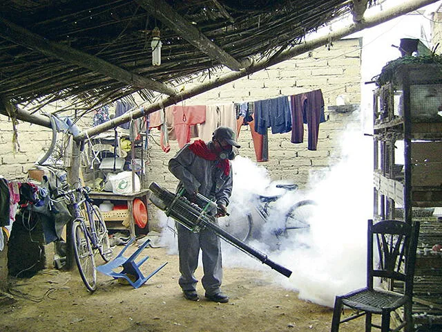 Falta presupuesto para enfrentar el dengue en ciudades del norte