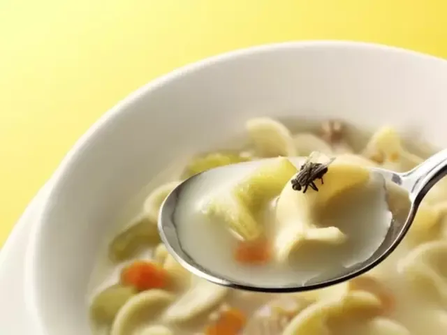 Moscas en la sopa
