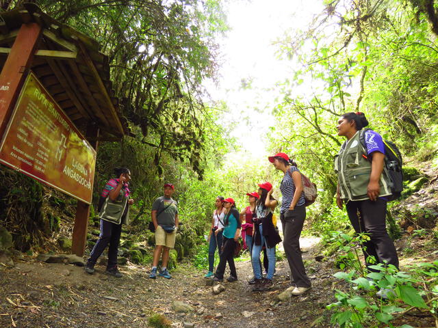 Turismo en Apurímac: todos los caminos llevan al nevado de Ampay Turismo en Apurímac: todos los caminos llevan al nevado de Ampay