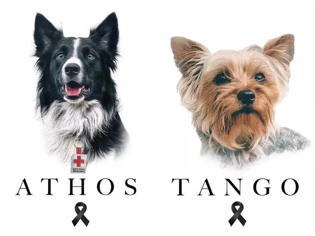 Juicio para la justicia de Athos y Tango. Foto: Facebook/ATHOS sar-dog
