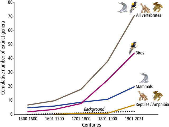  Gráfico de extinciones genéricas por siglo. Foto: PNAS   