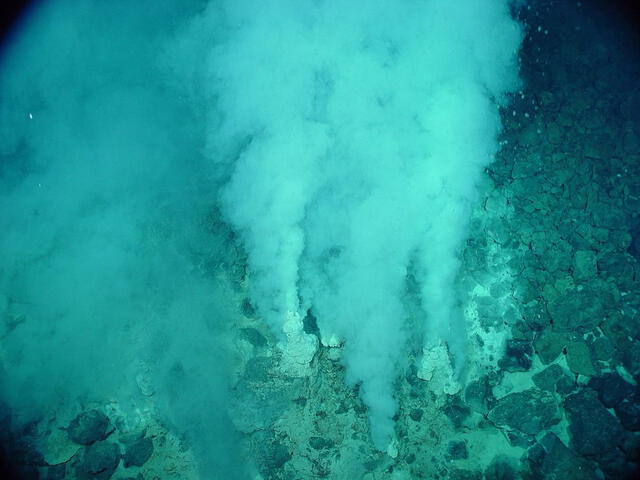  El virus ataca un tipo de bacterias que suele encontrarse en fuentes hidrotermales de las profundidades. Foto: Europa Press   