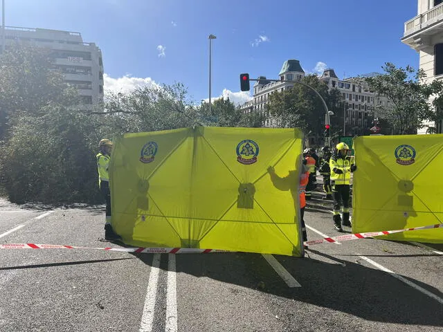  Una joven murió tras caerle un árbol en el centro de Madrid. Foto: @EmergenciasMad/X<br>    