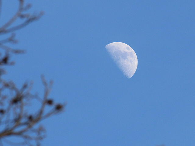 Primer cuarto de luna hacia el inicio del anochecer. Foto: Ernie Wright/NASA    