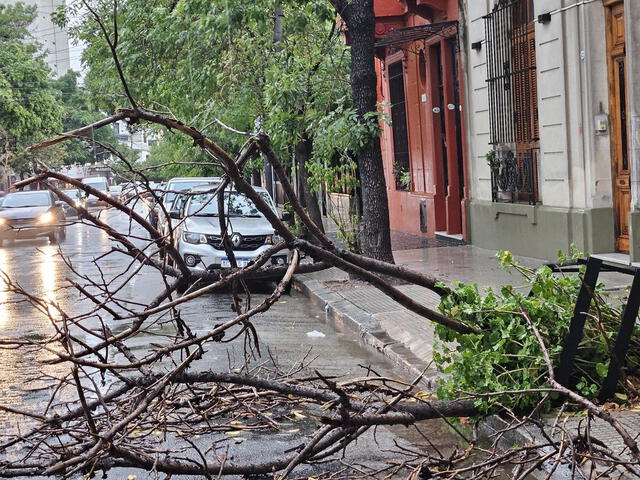  Las calles se encuentran inundadas y con árboles caídos. Foto: Cecilia Profético/Clarín<br>    