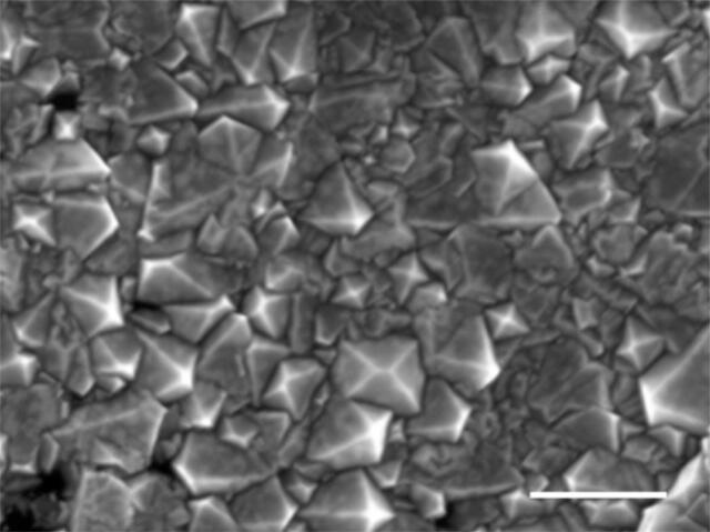  Micrografía electrónica de barrido de una película de diamante cultivada en metal líquido. Foto: Gog et al., Nature   