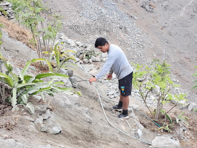 cerro la milla en san martín de porres