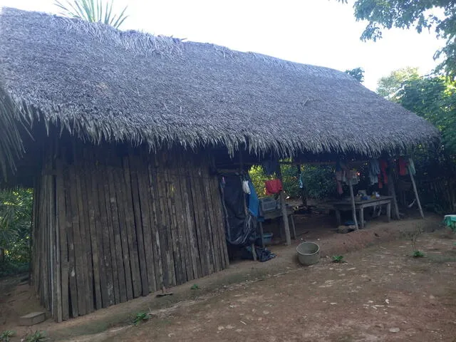  165 docentes procesados por el presunto delito de acoso sexual siguen trabajando libremente en escuelas. Foto: La República   