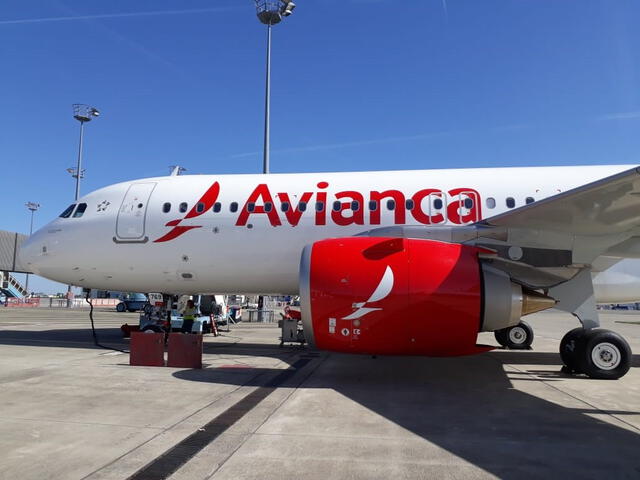 Recibirán millas de regalo como parte de su recompensa, cortesía del Comité Olímpico Colombiano y la aerolínea Avianca. Foto: Hosteltur.   