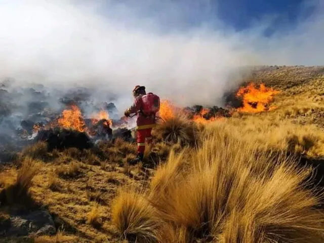 alerta roja por posible incendio forestal en Perú