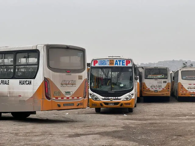  Ataque a bus de empresa ETUL con pasajeros en VMT: disparan más de 20 veces y hieren a chofer.   