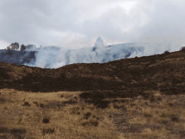 El Ministerio de Cultura trabaja la evaluación de daños por incendios forestales. Foto: Difusión   