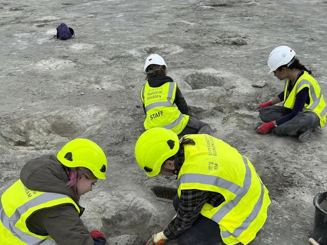  Investigadores de la Universidad de Birmingham trabajan tras descubrir 5 grandes vías que conformaban una "autopista de dinosaurios", en Oxfordshire. Foto: Museo de Historia Natural de la Universidad de Oxford.    