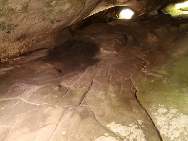  Los grabados descubiertos en el suelo de la cueva Ségognole 3. Foto: Médard Thiry   