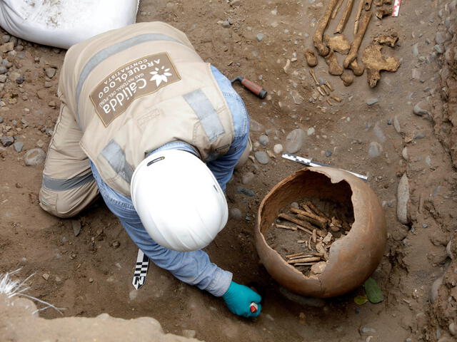  Arqueólogos de Cálidda realizaron la limpieza de los restos arqueológicos.   