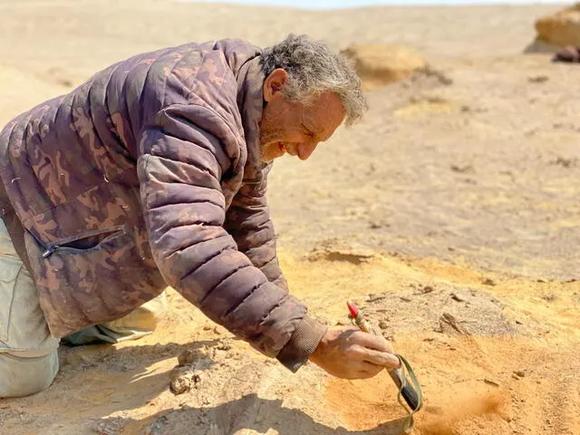  Mario Urbina, paleontólogo de la UNMSM encontró los restos fósiles dentro de un bloque de roca. Foto: UNMSM   