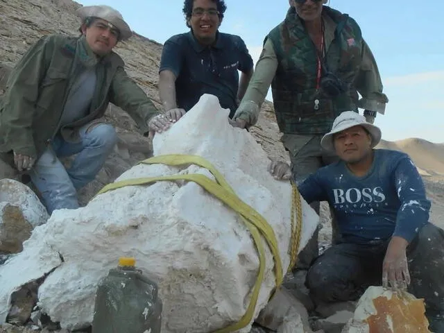  El equipo de Urbina se dedica a la búsqueda de fósiles en los desiertos de Ica. Foto: Difusión   