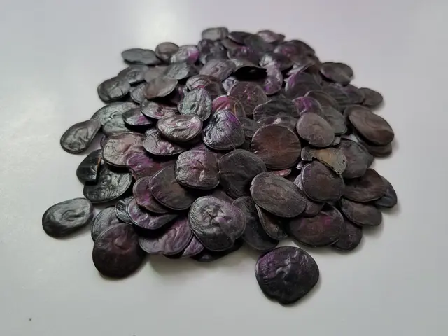  Los investigadores encontraron restos de semillas de vilca que se habría mezclado en una bebida. Foto: World Seed Suply   