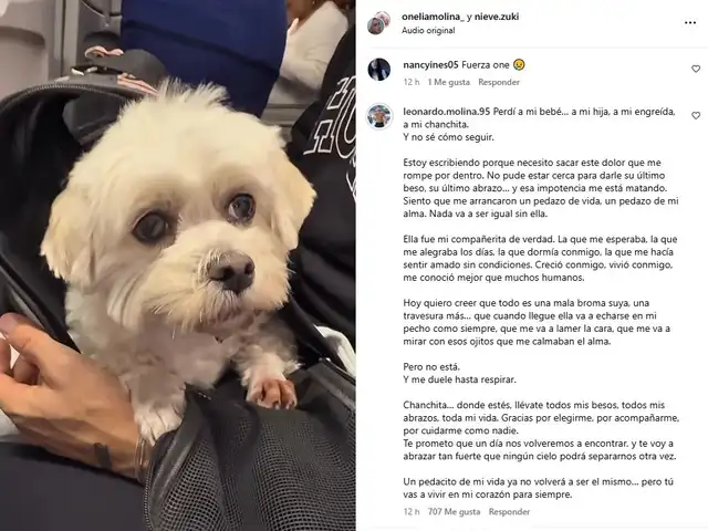 Mensaje del hermano de Onelia Molina. Foto: Instagram Mensaje del hermano de Onelia Molina. Foto: Instagram