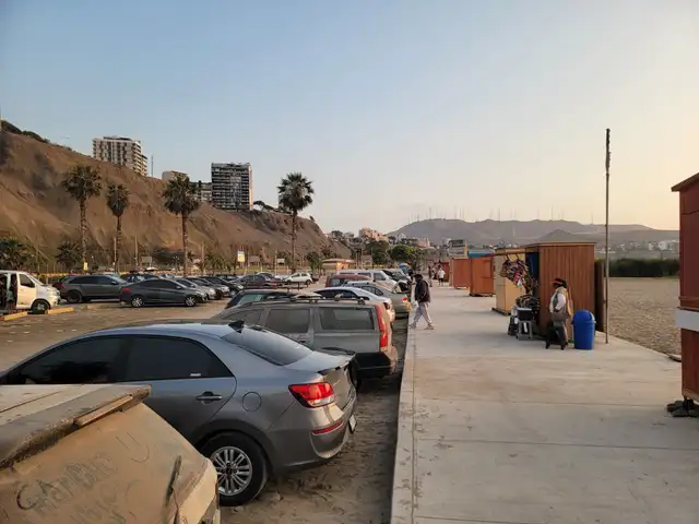 Según el especialista, sería necesario realizar los estudios de impacto ambiental. Foto: Elvis Cairo/La República.   