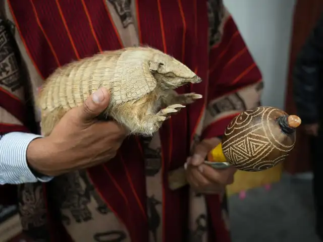 SERFOR insta a denunciar estos abusos y promover alternativas sin crueldad. Foto: SERFOR.   