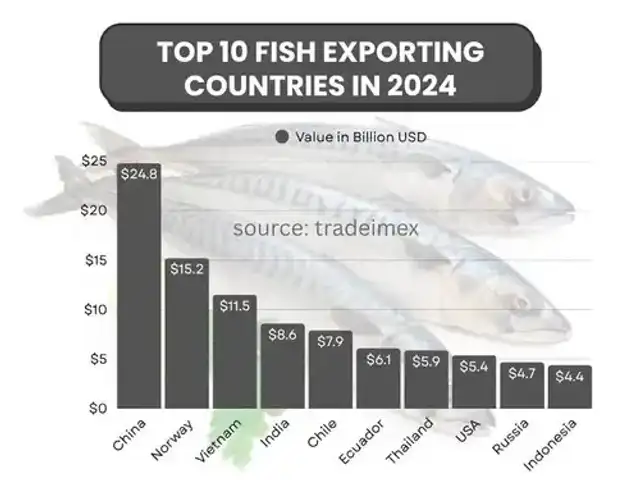 El top 10 de los principales exportadores de pescado en 2024-2025. Foto: TradeImeX