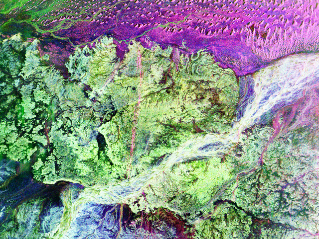  Imágenes de radar de satélites de una región del desierto de Omán. Las áreas verdes indican el suelo rocoso y las moradas las dunas. Foto: NASA   