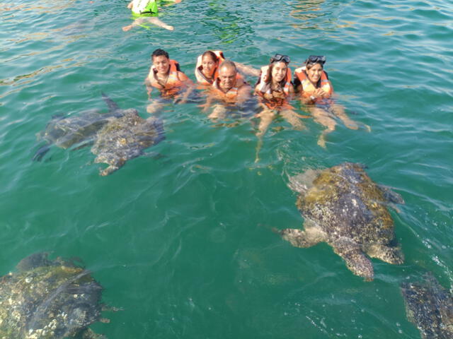  Punta Sal también destaca por el nado con tortugas. Foto: Andina 