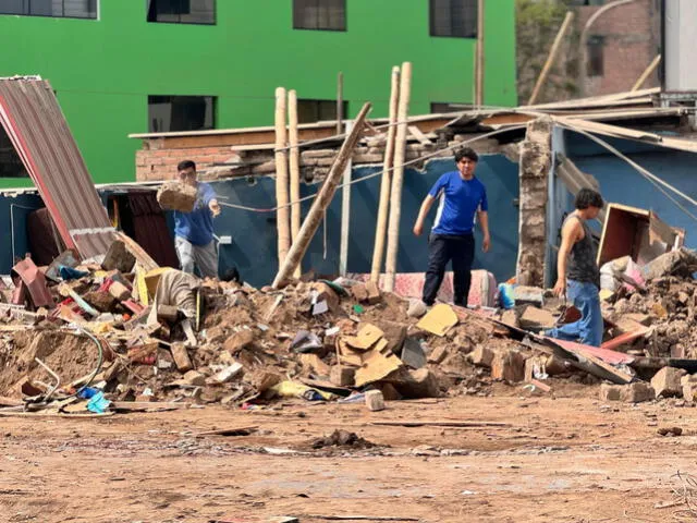 Algunos animales habrían muerto durante la demolición. Foto: Marcia Chahua/La República    