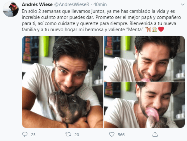 andres wiese