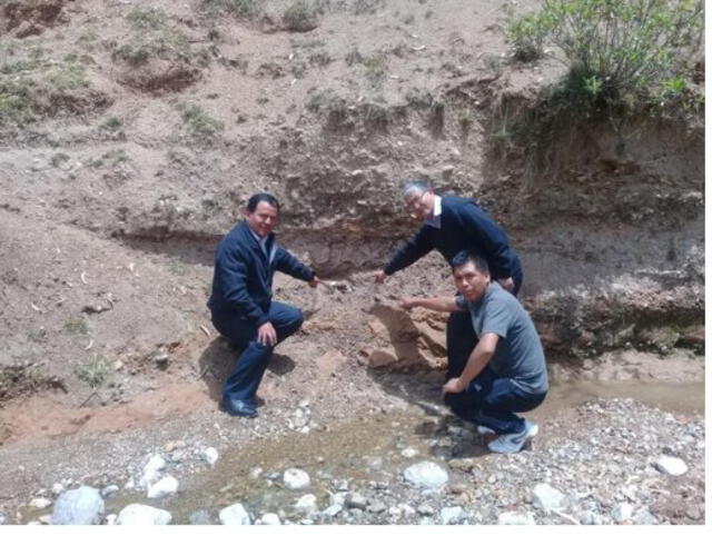 Junín: Encuentran fósiles de dos elefantes prehistóricos en el Valle del Mantaro