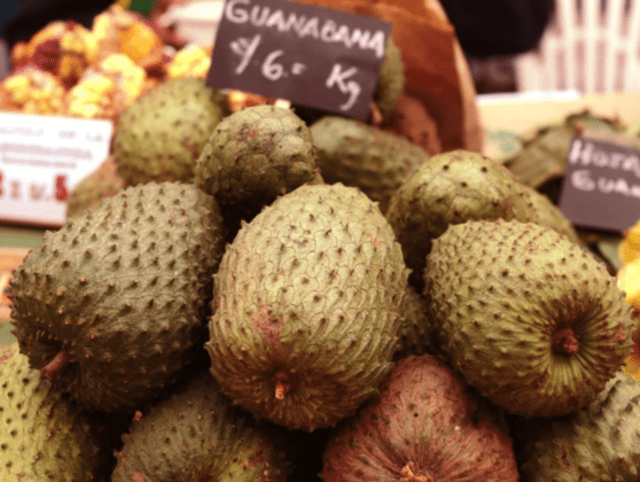   Soursop is present in South America and Central America.  Photo: Andean   