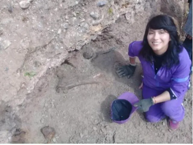 Junín: Encuentran fósiles de dos elefantes prehistóricos en el Valle del Mantaro