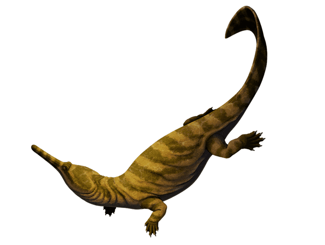  La forma de los choristodera es similar a las de los gaviales modernos. Imagen: Nix illustration   