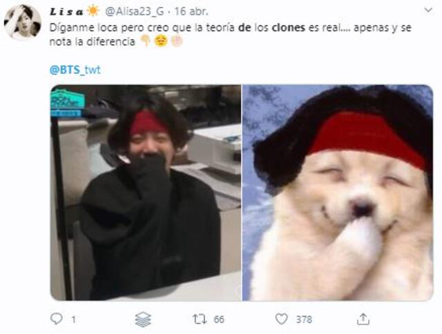 "clones de BTS"