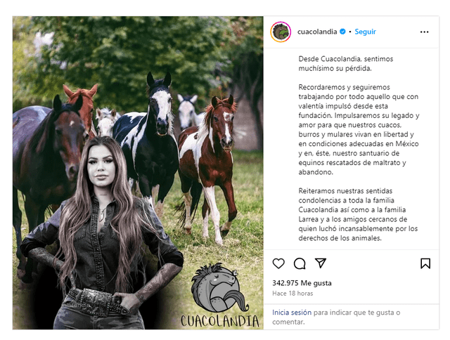 Este fue el mensaje que emitió la cuenta oficial de Cuacolandia en Instagram. Foto: Cuacolandia Instagram   