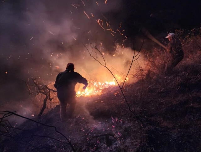 Activistas ecológicos y vecinos de la zona buscan aplacar las llamas de fuego. Foto: difusión   