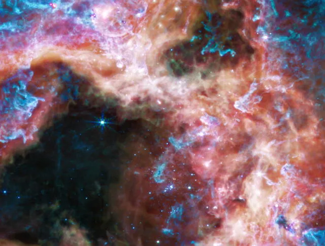 Imagen de la Nebulosa de la Tarántula (30 Doradus) tomada por el instrumento MIRI. Las nubes de polvo y gas tienen un color azul y violeta, mientras que muchas de las estrellas jóvenes han desaparecido de la visión. Foto: NASA / ESA / CSA / STScl