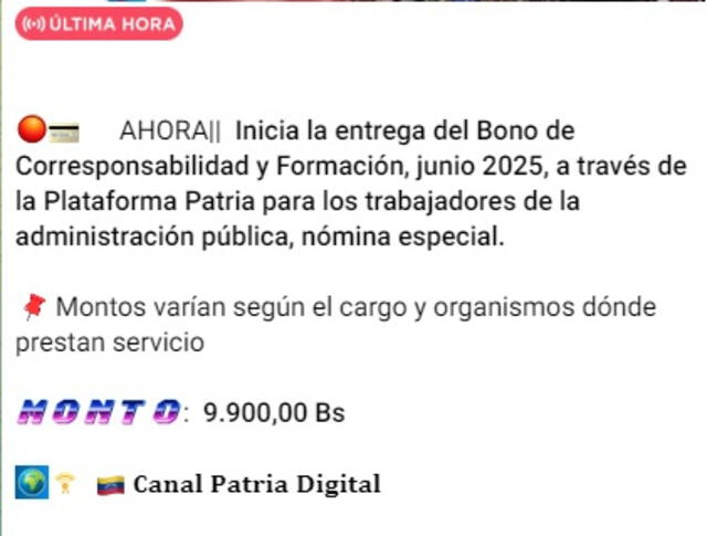 Anuncio del Bono Corresponsabilidad y Formación de junio 2025. Foto: Canal Patria Digital   