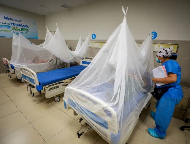  Aumentan casos de Dengue en el Perú. Foto: Andina    