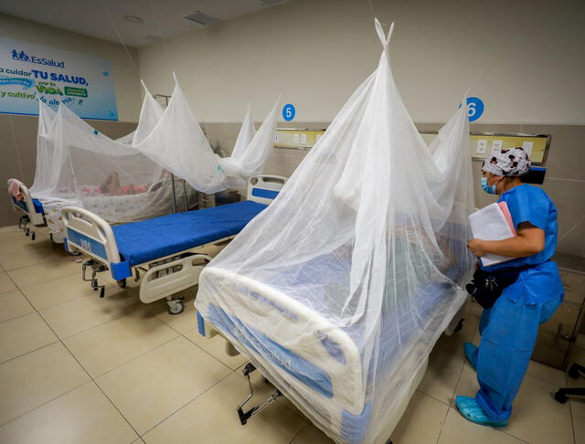 Aumentan casos de Dengue en el Perú. Foto: Andina   