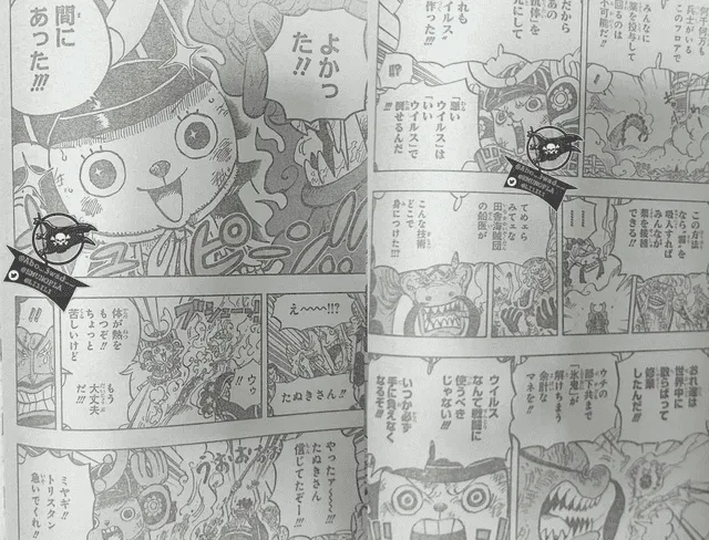 One Manga 1.007. Foto: Weekly Shonen Jump