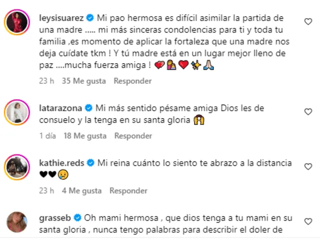 Personajes famosos enviaron mensajes de apoyo a Paola Ruíz. Foto: Instagram    