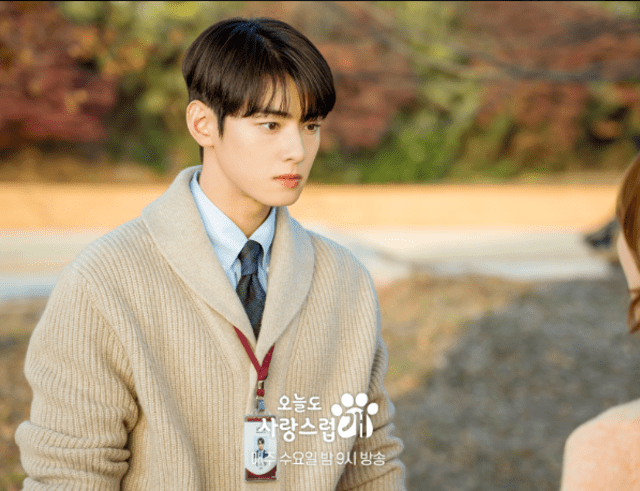  Cha Eunwoo en 'Un buen día para ser un perro'. Foto: MBC Drama   