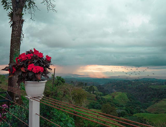 Filandia cuenta con maravilloso miradores de campos cafetaleros. Foto: @encantofilandia/Instagram   